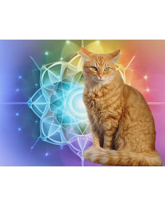 Sacred Geometry: Orange Tabby Cat - #variant_color# - #variant_size# - #variant_option#